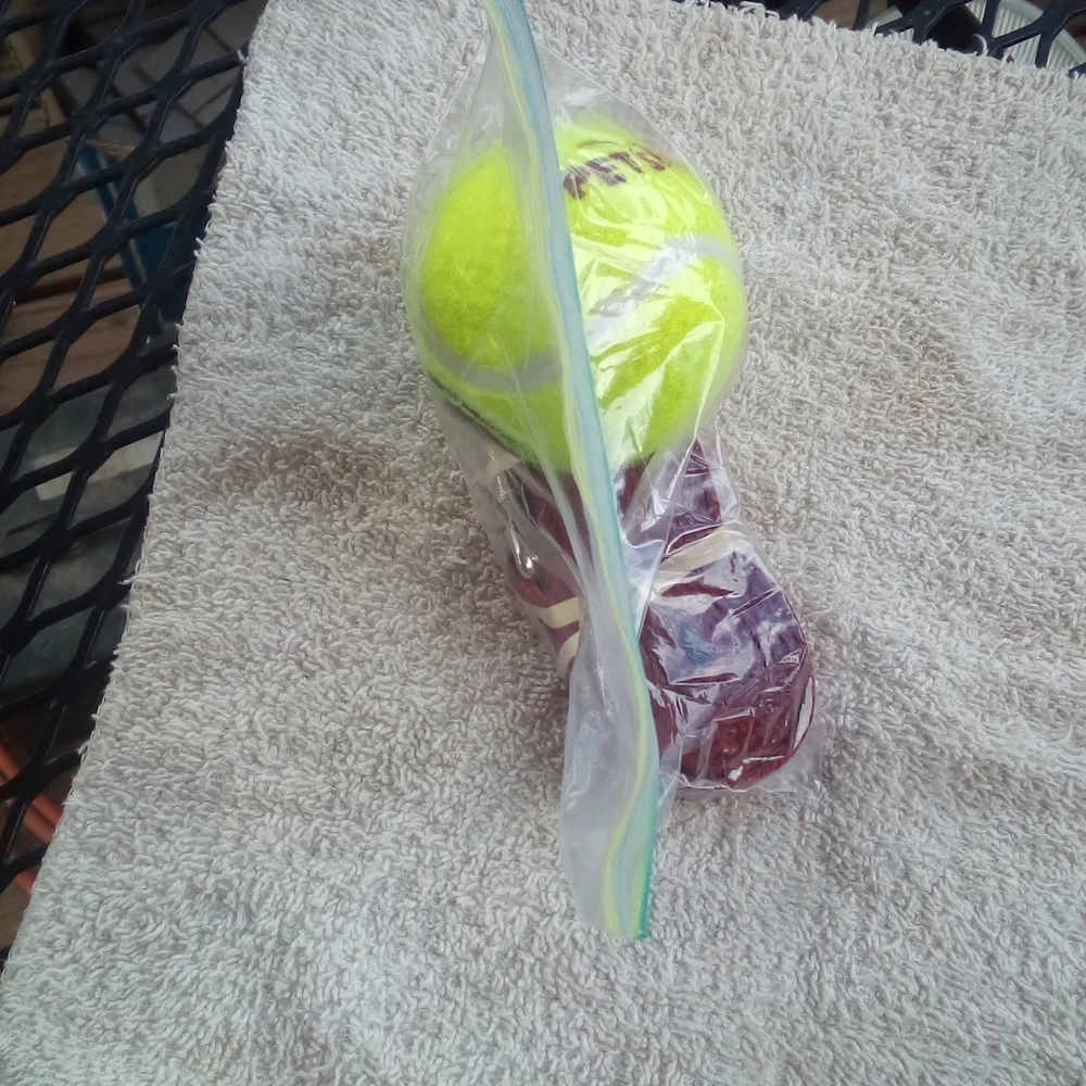 Leash and Ball Emergency Kit